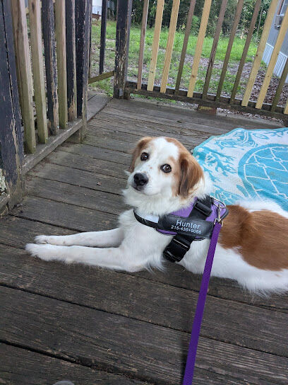 Dog Park at Love's Travel Stops