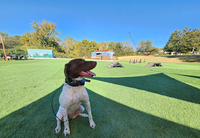Barks N Brews