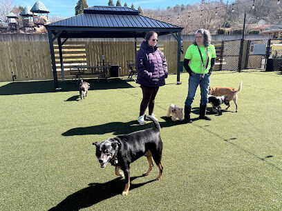 Manchester Dog Park & Social Club