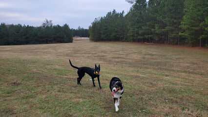 Graves Dog Park