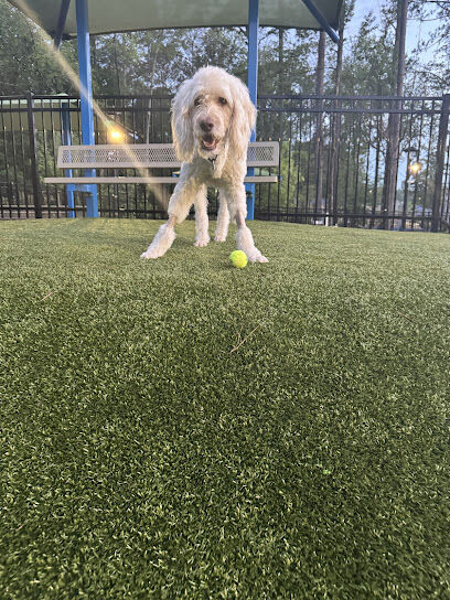 Town Center Dog Park
