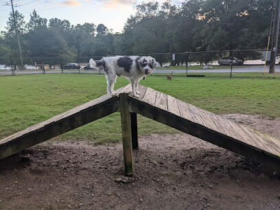 Morgan Falls River Park / Dog Park