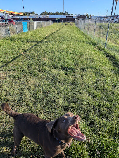 Dog Park at Love's Travel Stops