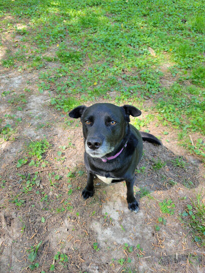 Brockett Bark Park (PRIVATE)