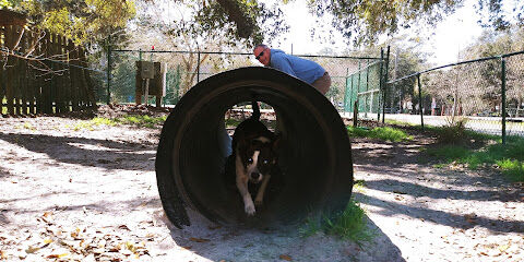 Tybee Island Dog Park I