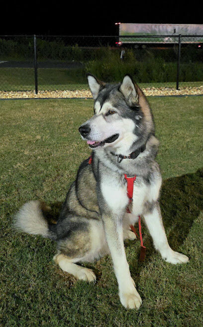 Dog Park at Love's Travel Stops