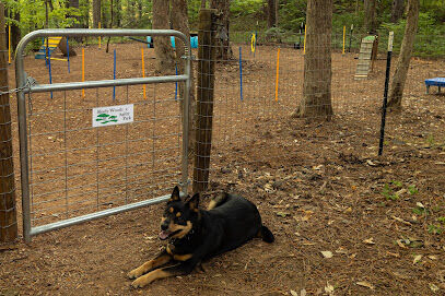 Shady Woods Agility Park