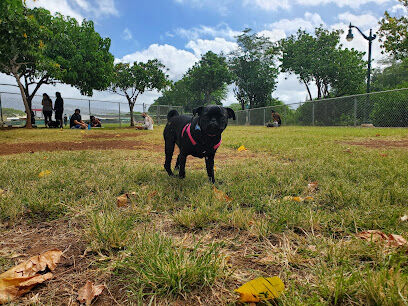 Ala Wai Dog Park