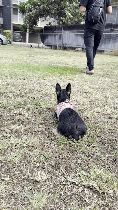 Maryknoll Dog Park