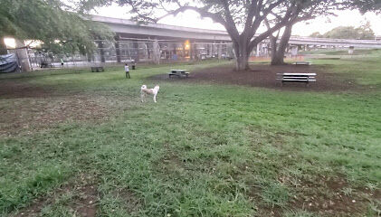 Moanalua Dog Park