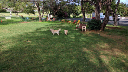The Clark Hatch Bark Park at Diamond Head
