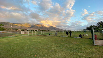 Lahaina Recreation Center Dog Park