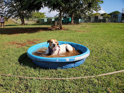 Upcountry Dog Park