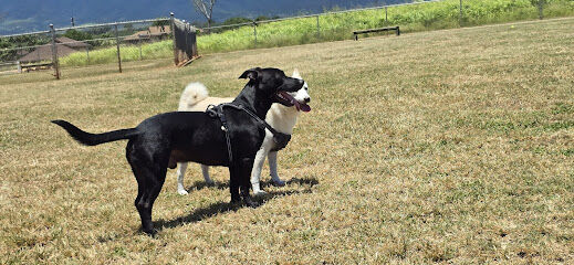 Patsy T. Mink Central O'ahu Dog Park