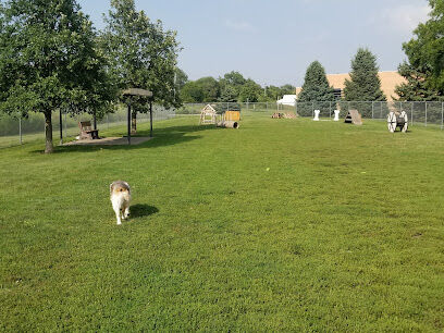Dog Park