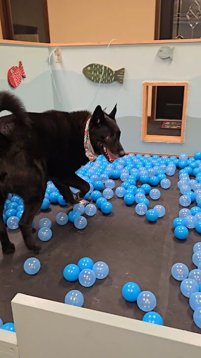The PARK Indoor Dog Park
