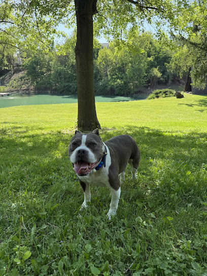 Pondview Paws Retreat - Appointment Required - Private Dog Park