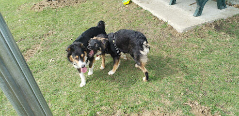 Chariton Dog Park