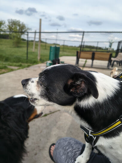 Clear Lake Dog Park