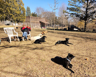 Clinton Dog Park