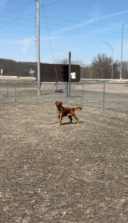 Correctionville Dog Park