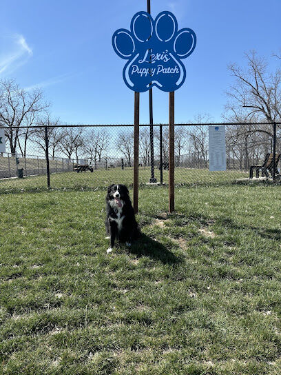 Lexi's Puppy Patch