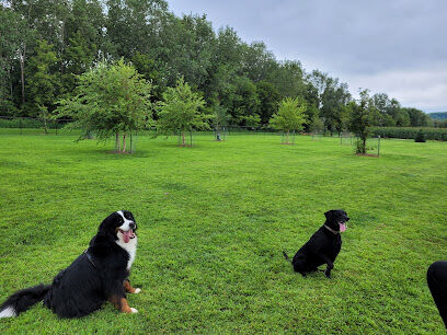 Decorah Dog Park