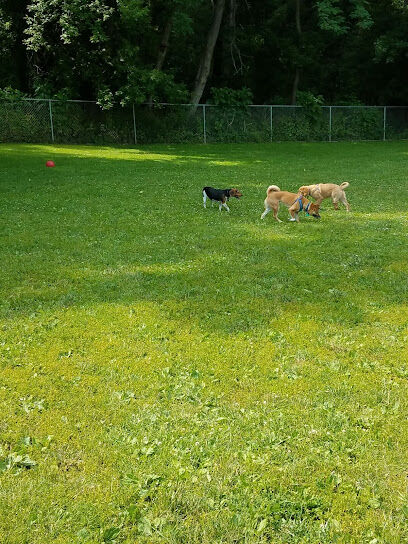 Pet Park