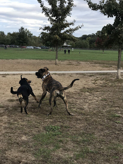 Thornberry Dog Park