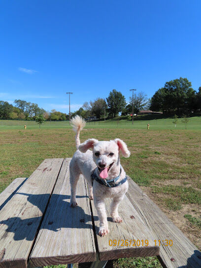 Paws and Pals Dog Park