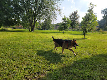 Dog Park