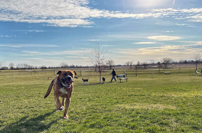 East Lake Park - Dog Park