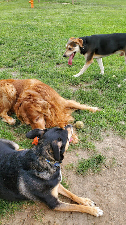 Mt. Vernon Dog Park