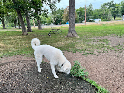 Newton Dog Park
