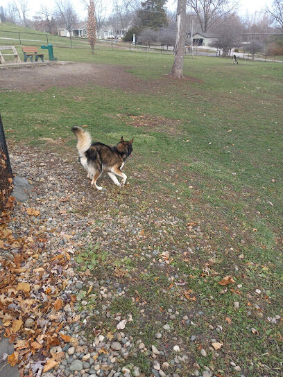 Oskaloosa Bark Park
