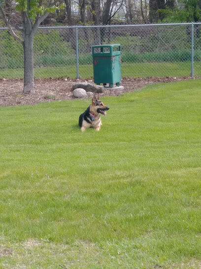 Perry Dog Park