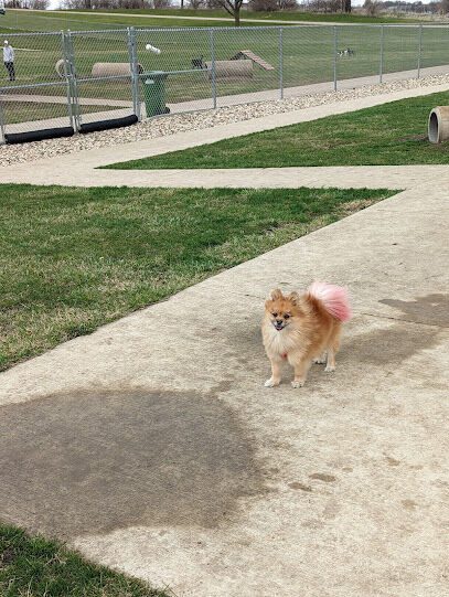 Waverly Dog Park