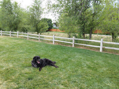 Eagle Small Dog Park