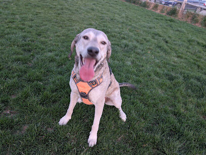 Molenaar Dog Park