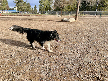 Cherry Hill Dog Park