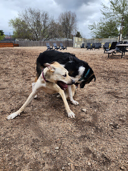 Clubhound