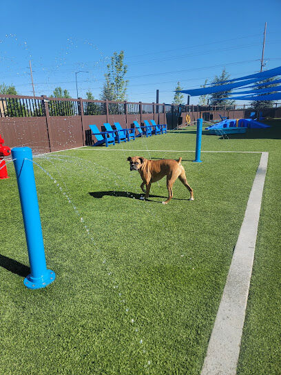 Idaho Pups & Ales