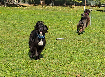 Unleashed Unlimited Private Dog Park