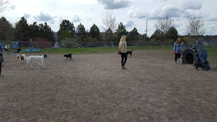 Moscow Dog Park