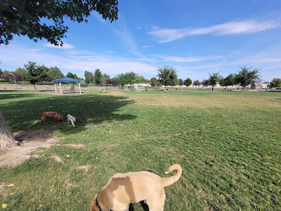 Amity Dog Park