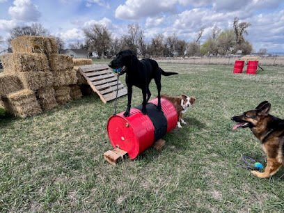Idaho Barks and Recreation