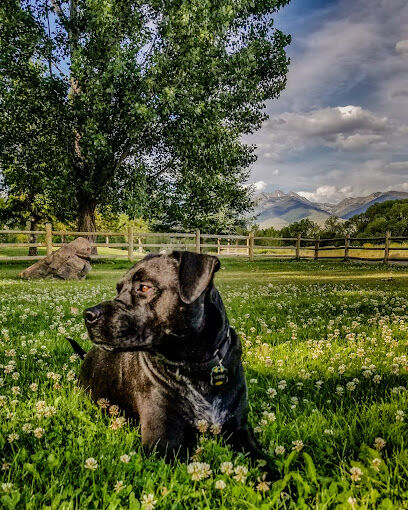 Seaman Dog Park