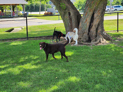 Dog Park at Phillips Park