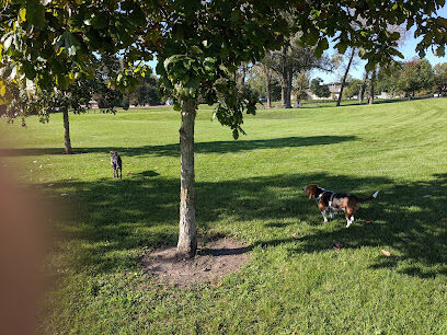 Lincoln Park Dog Park