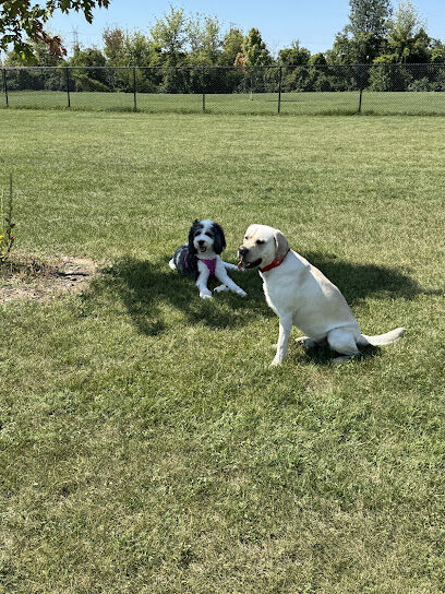Riley's Run Dog Park